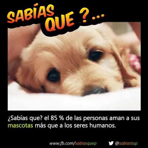 +1 Por cada curiosidad que probablemente tu desconocias