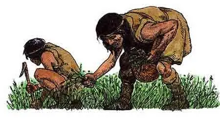 agroindustria