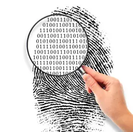 Minería de datos