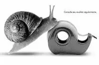 Animales