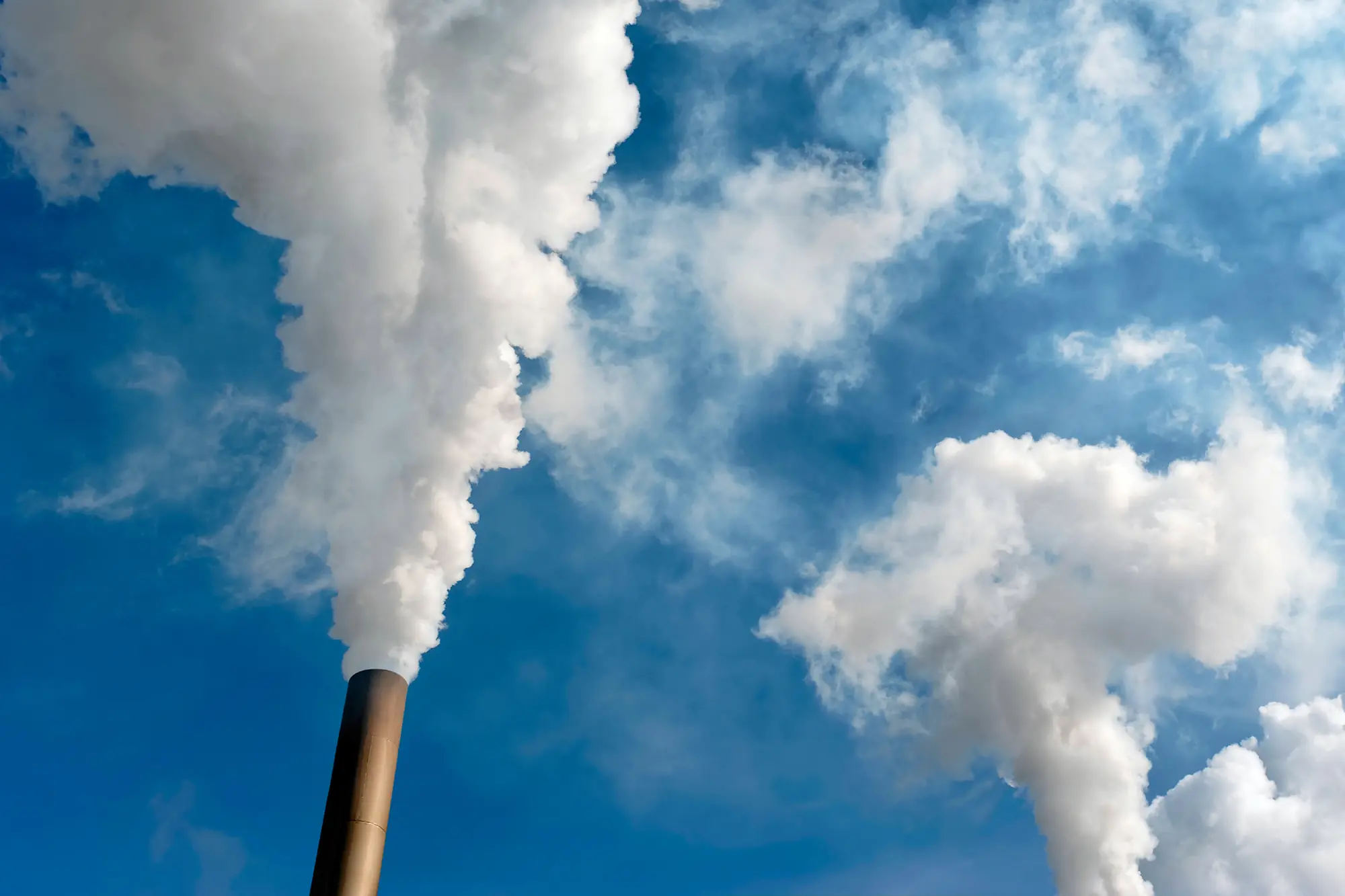 contaminación