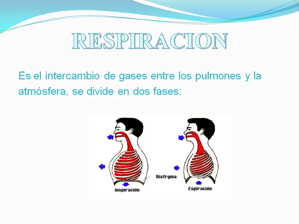 Aprende Primeros Auxilios Con este Post !