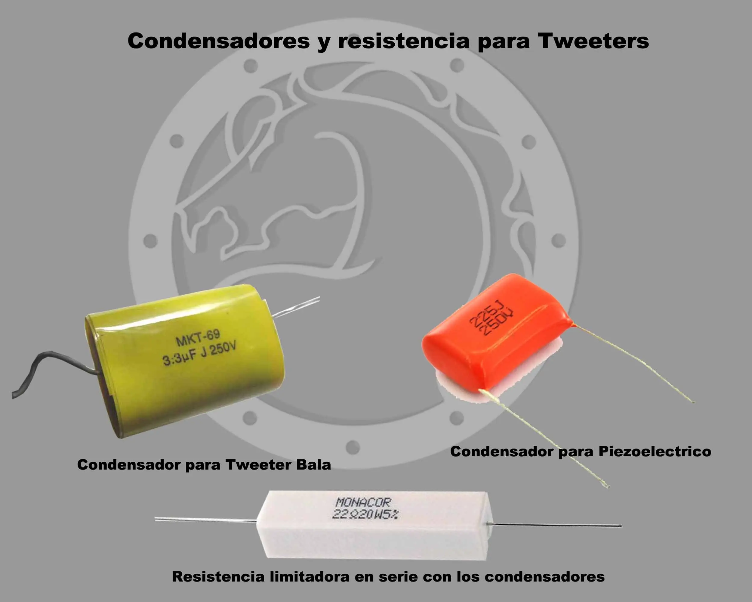 conexion de parlantes