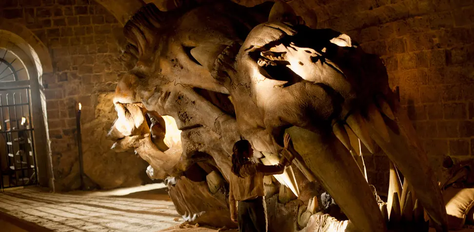 dragones