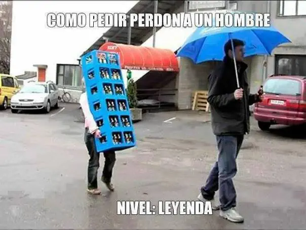 gelp