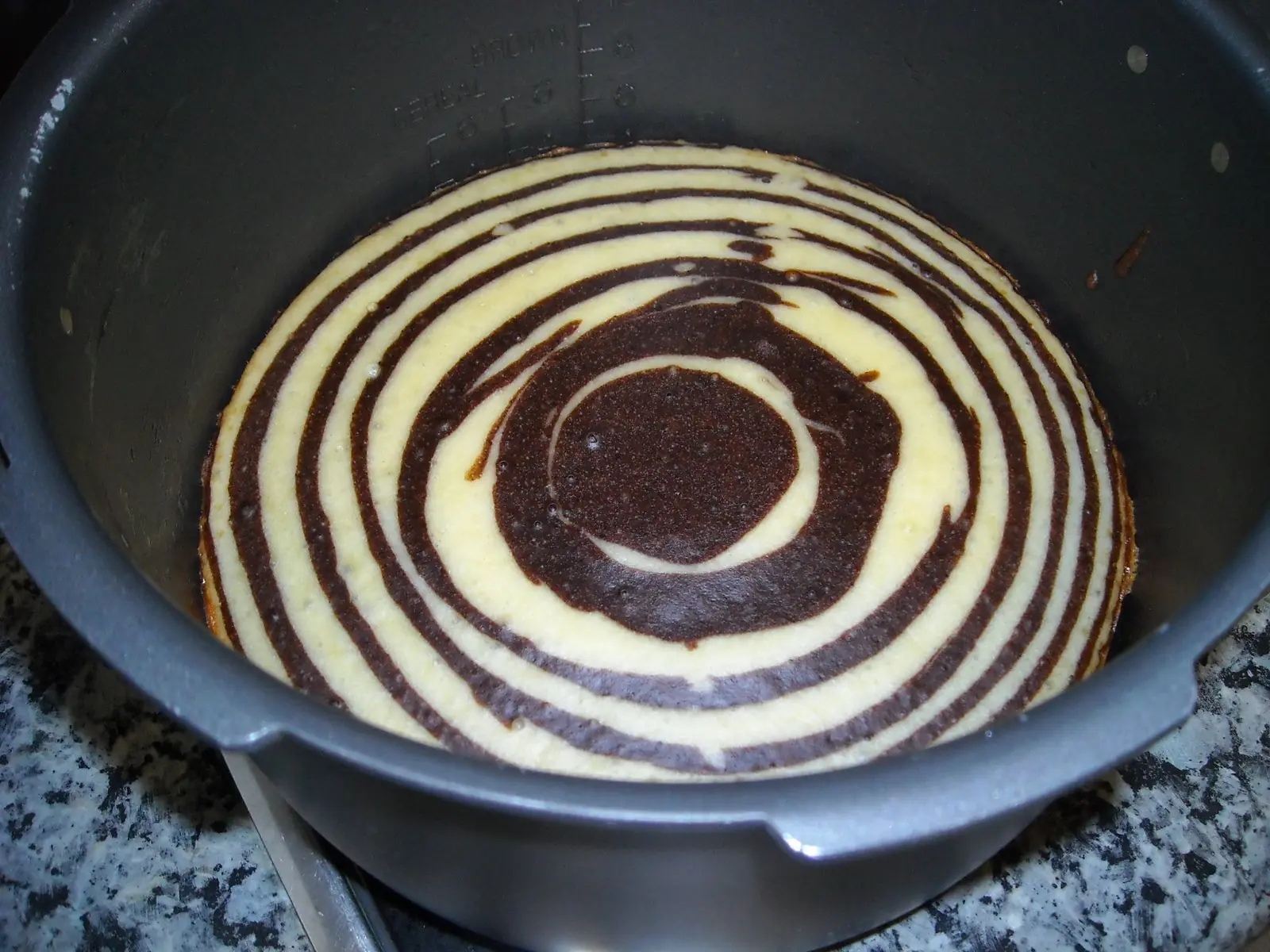 cebra