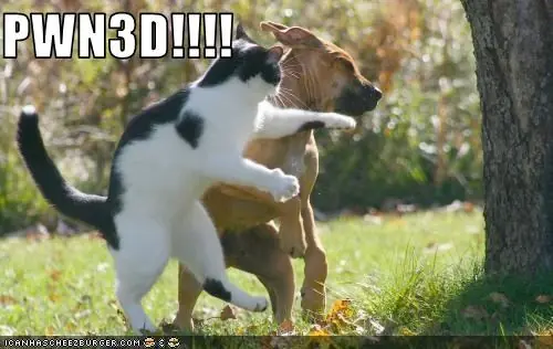 que es PWN3D?