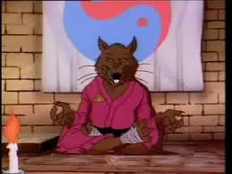 Video Origami - Maestro Splinter