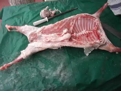 Asado de Cabrito al palo