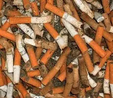 Drogas hasta donde puede llegar la estupidez humana