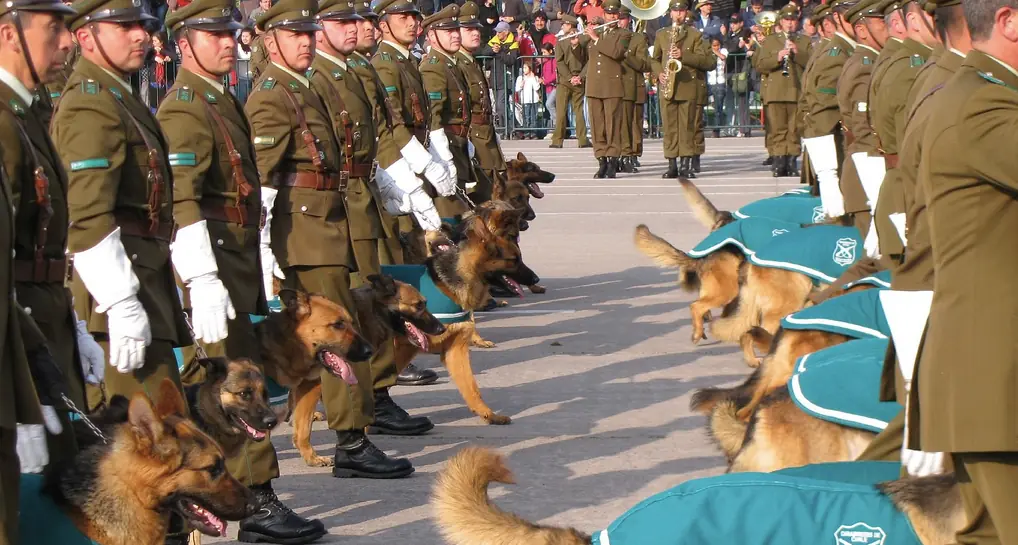 [ Chile ] La Mejor y Mas Moderna Fuerza Policial de L.A