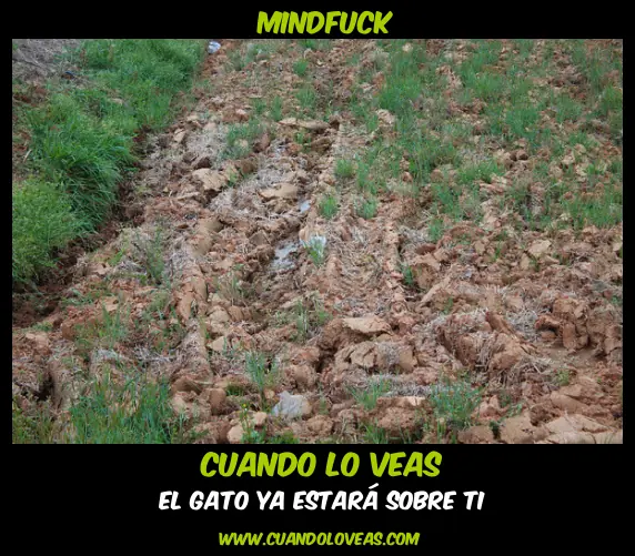 lo