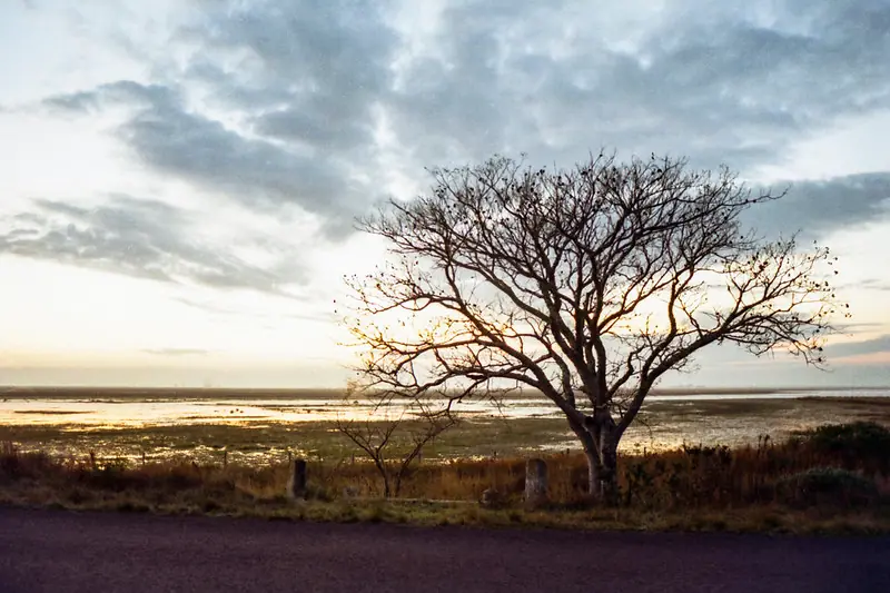 Nuevas Fotos Propias