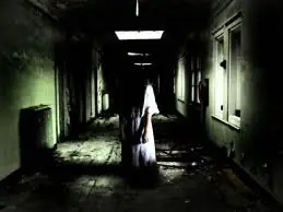 terror