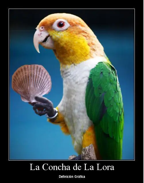 Humor Grafico