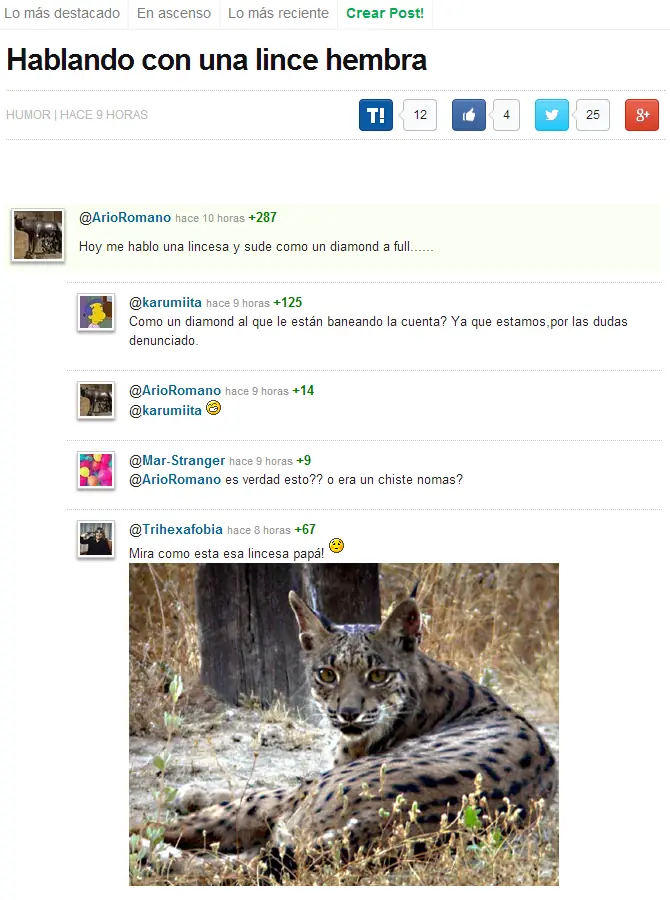 denunciado