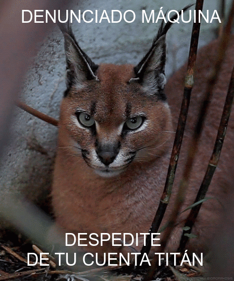 Firma para proteger a los linces