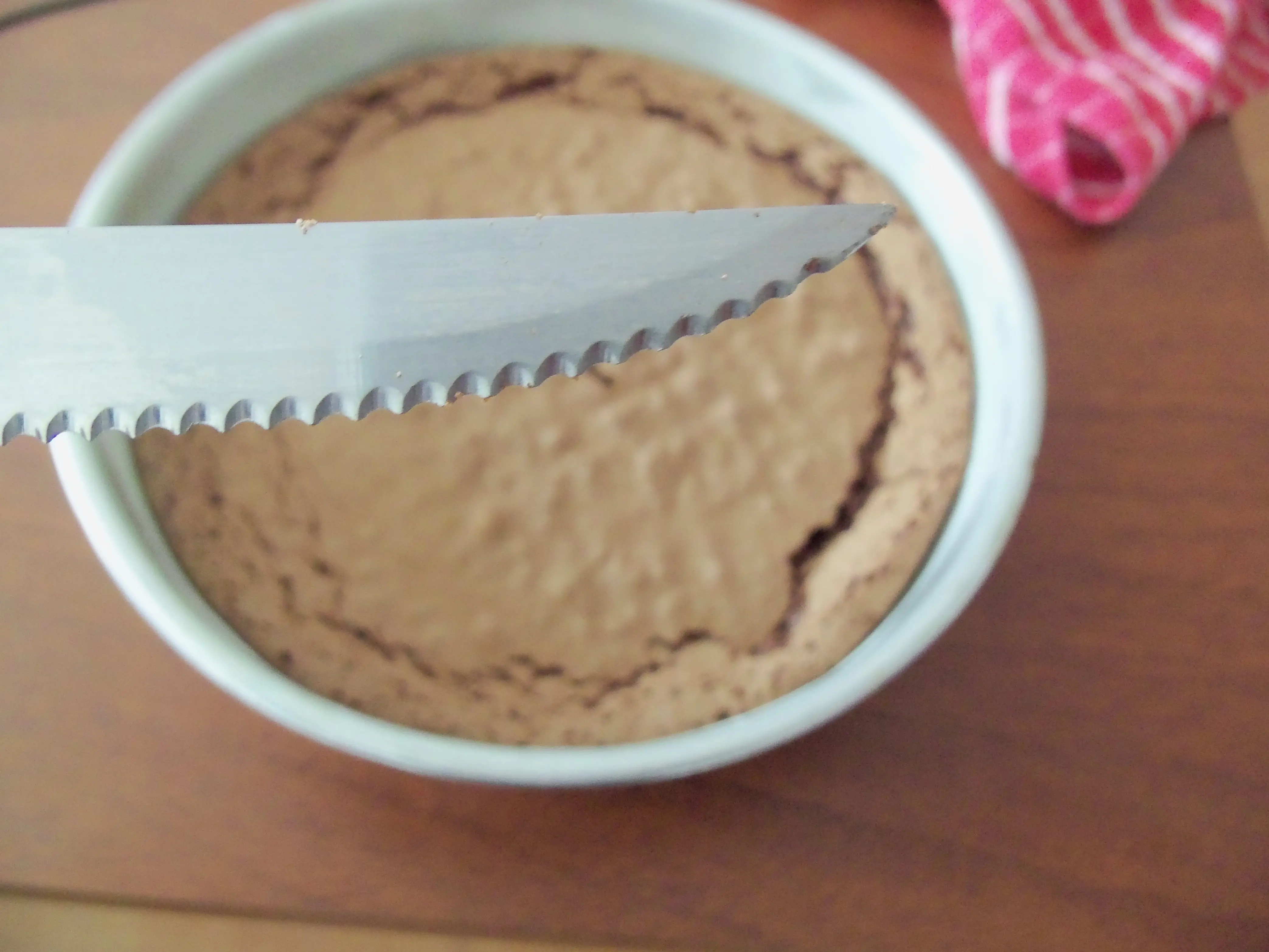 the cake is a lie