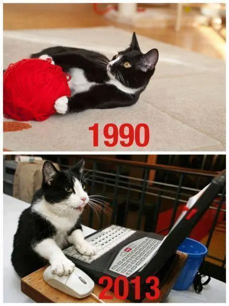 humor