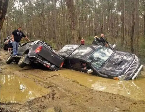 60 .jpg y gif imperdibles (Apto)