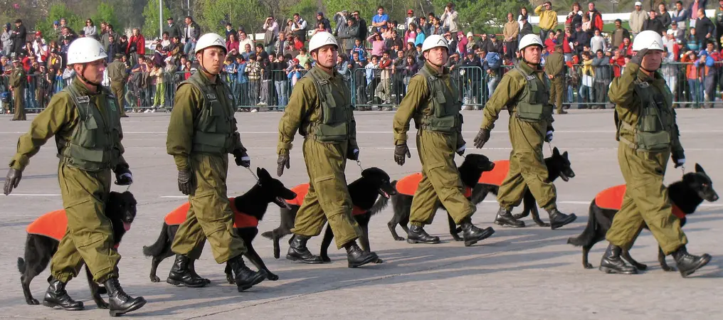 Fuerza de policia de Chile