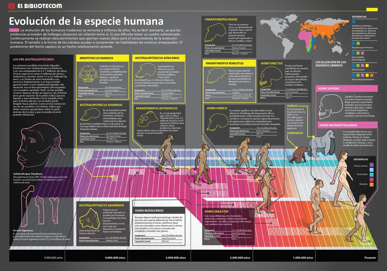 Lunes, superando conocimientos.