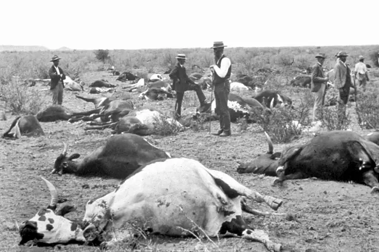 La guerra biológica (II)