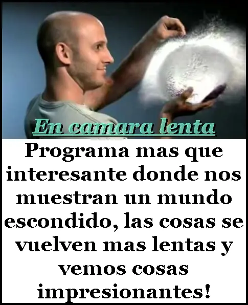 discovery