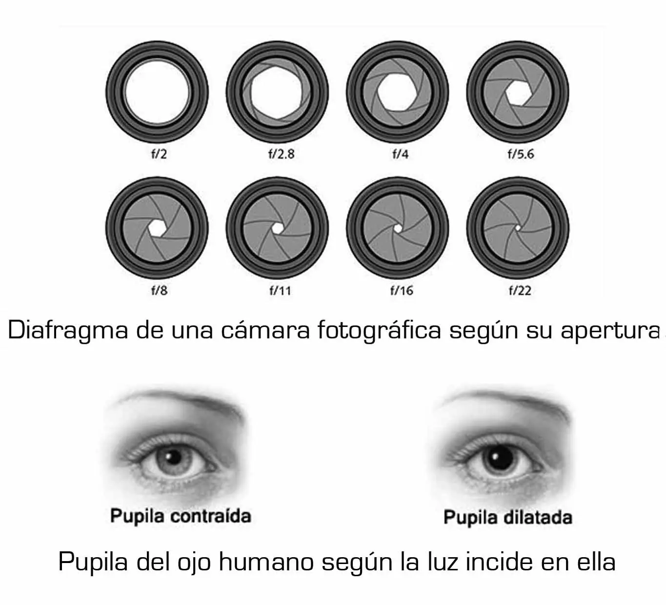 aprender