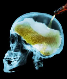 beneficios que tiene la cerveza para el cerebro