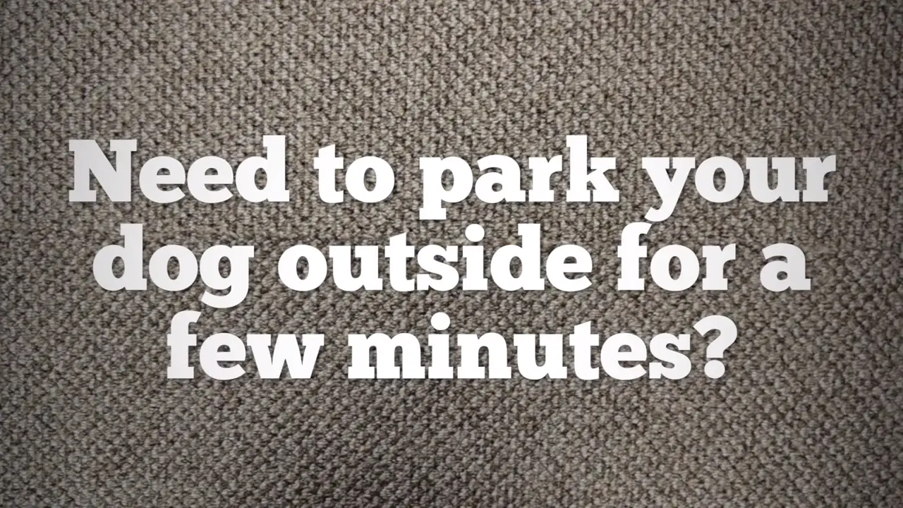 Tips para tener Feliz a tu mascota!! Perros y Gatos!!