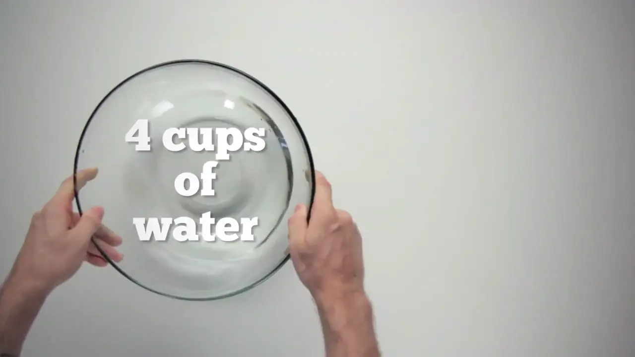 Tips para tener Feliz a tu mascota!! Perros y Gatos!!