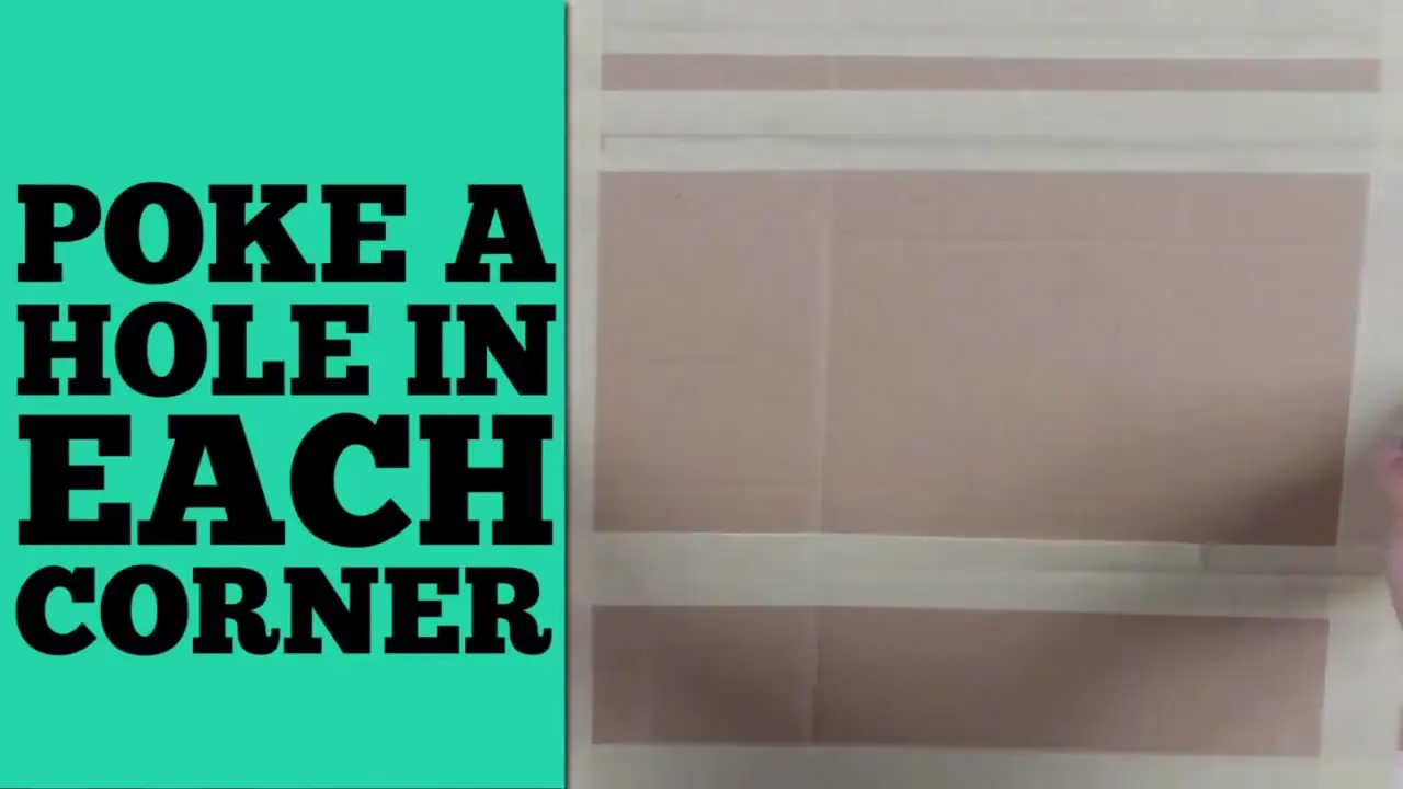 Tips para tener Feliz a tu mascota!! Perros y Gatos!!