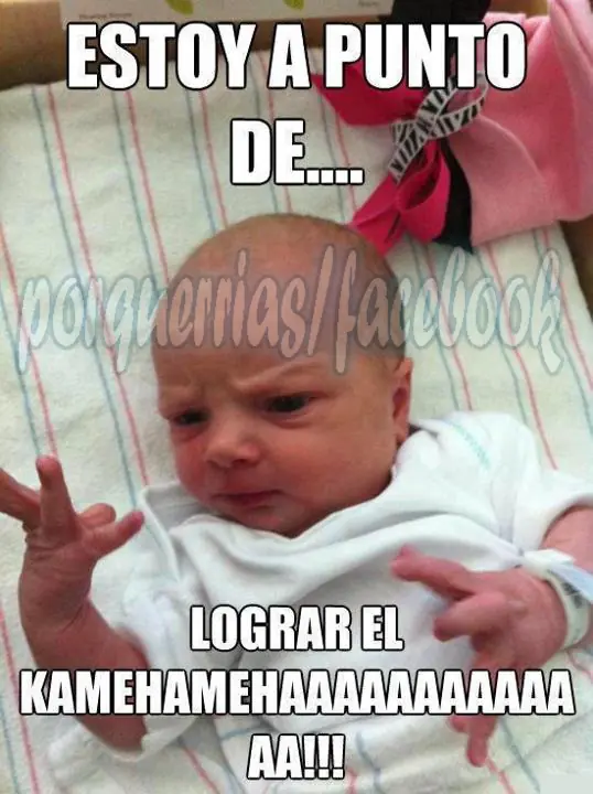 fotos graciosas