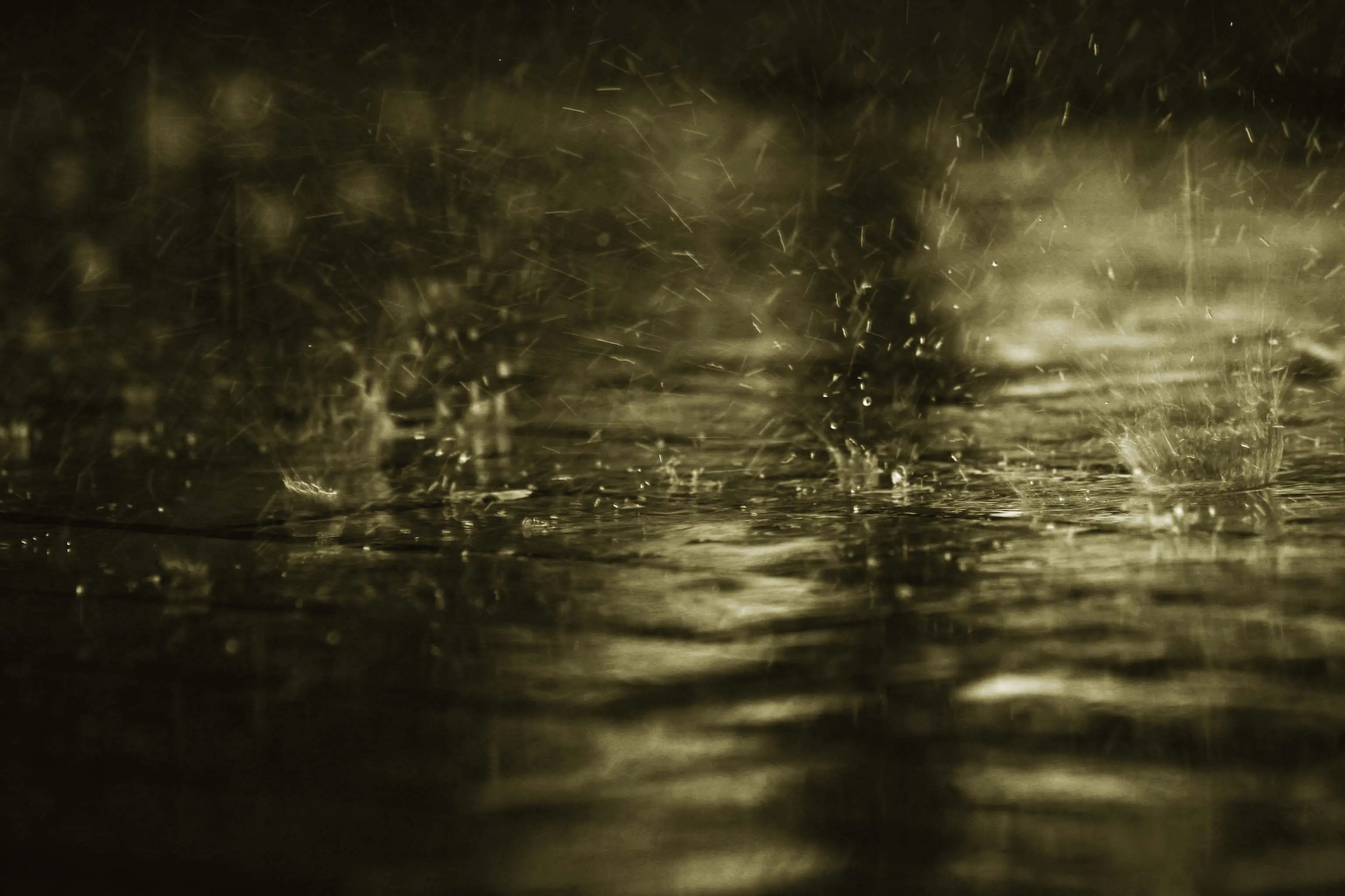 Mojáte con este post: La lluvia.