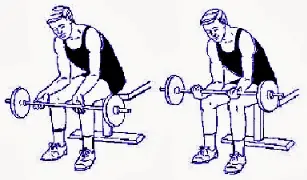 gimnasio