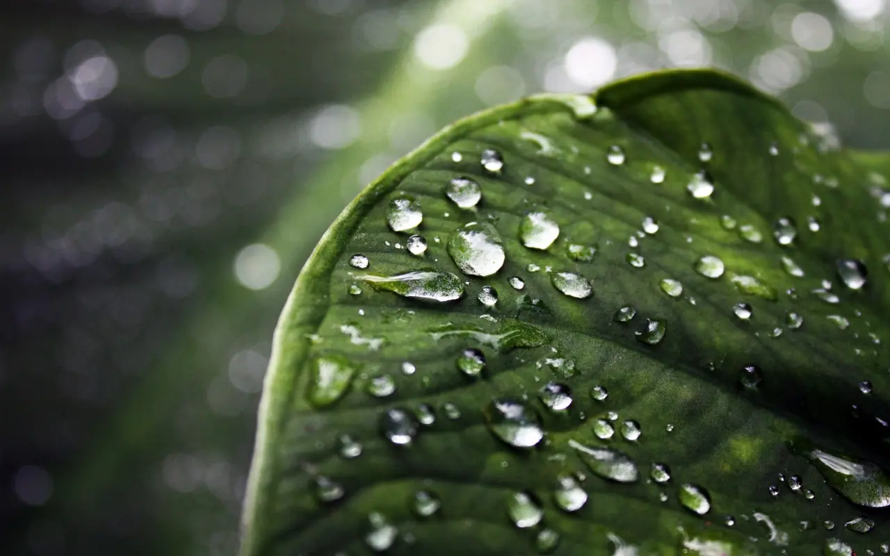 ¿Por qué no fabricamos el agua nosotros mismos?