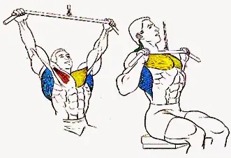 gimnasio