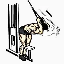 Sos un palo y te cuesta hacer volumen en el GYM? pasá capo