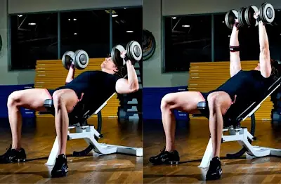 ectomorfo