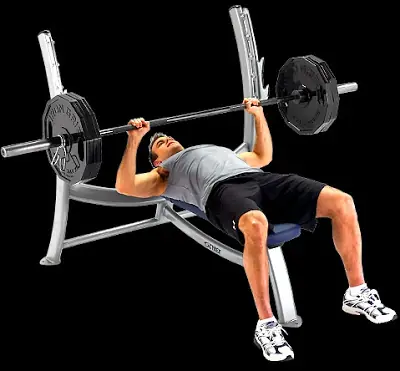 Sos un palo y te cuesta hacer volumen en el GYM? pasá capo