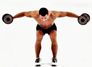 ectomorfo