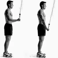 ectomorfo