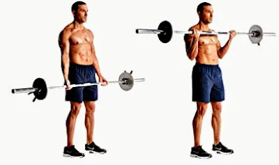 ectomorfo