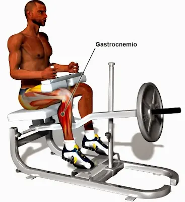 gimnasio