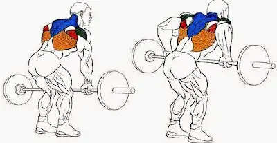 Sos un palo y te cuesta hacer volumen en el GYM? pasá capo