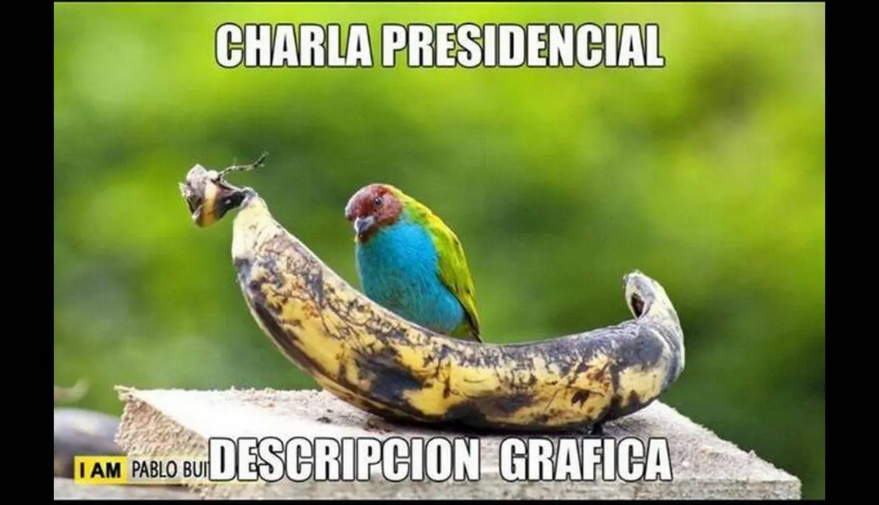 Venezuela hay una larga tradición de vividores que chupan de