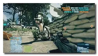bug