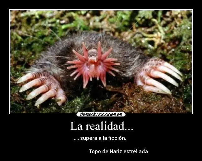 impresionantes