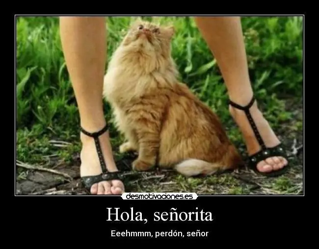 gifs graciosos